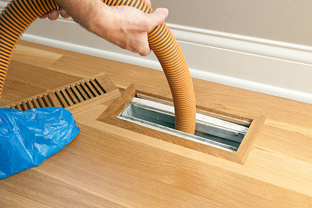 Best Air Duct Mold Removal  in Roseburg, OR